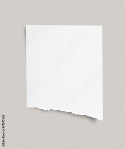 Blank sheet of torn paper on transparent background.