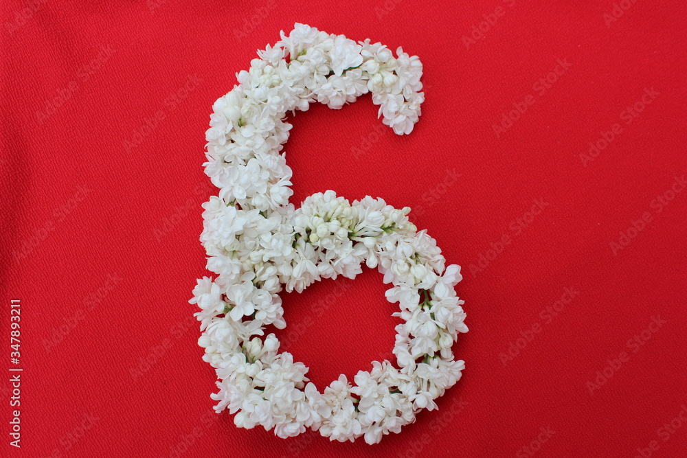The number 6 is written in white lilac flowers on a red background. The number six is written in fresh flowers, isolated on red. Arabic numeral lined with flowers.