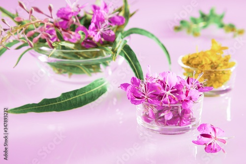 Beautiful composition of fresh willow-herb and St. John's wort flowers on pink background