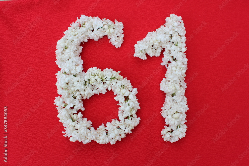 The number 61 is written in white lilac flowers on a red background. The number sixty one is written in fresh flowers, isolated on red. Arabic numeral lined with flowers.