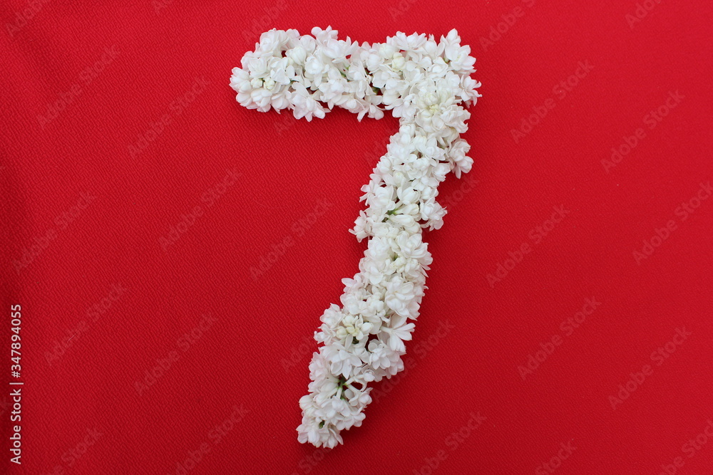 The number 7 is written in white lilac flowers on a red background. The number seven is written in fresh flowers, isolated on red. Arabic numeral lined with flowers.