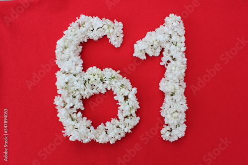 Obraz na płótnie The number 61 is written in white lilac flowers on a red background. The number sixty one is written in fresh flowers, isolated on red. Arabic numeral lined with flowers. w salonie