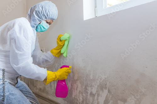 Close up of a female worker of cleaning service removes mold from wall using spray bottle with mold remediation chemicals