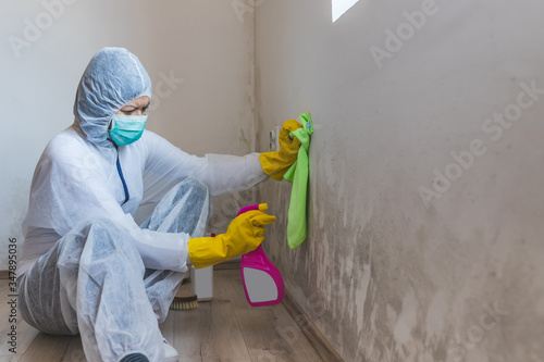 Worker of cleaning service removes mold from wall using spray bottle with mold remediation chemicals, mold removal products.
