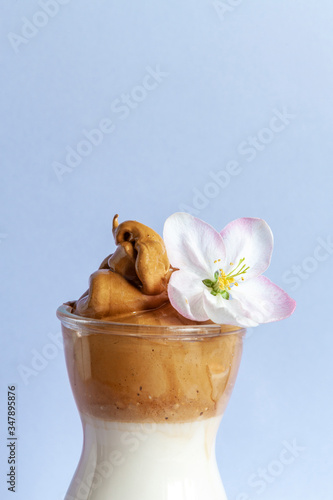 Fototapeta Naklejka Na Ścianę i Meble -   Trendy whipped cold dalgona coffee in glass with apple tree flowers