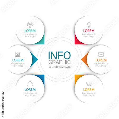 Vector iInfographic template for business, presentations, web design, 6 options.