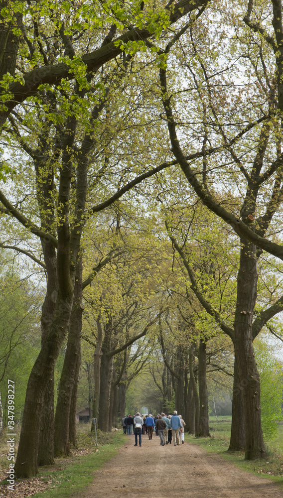 Strollers at Merksplas Colony. Wortel Colony. Belgium. 