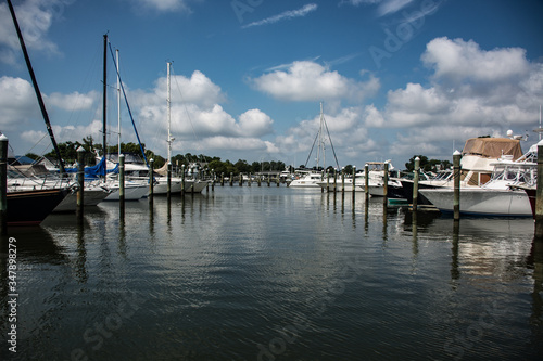 boats in the harbor © Colleen Myers