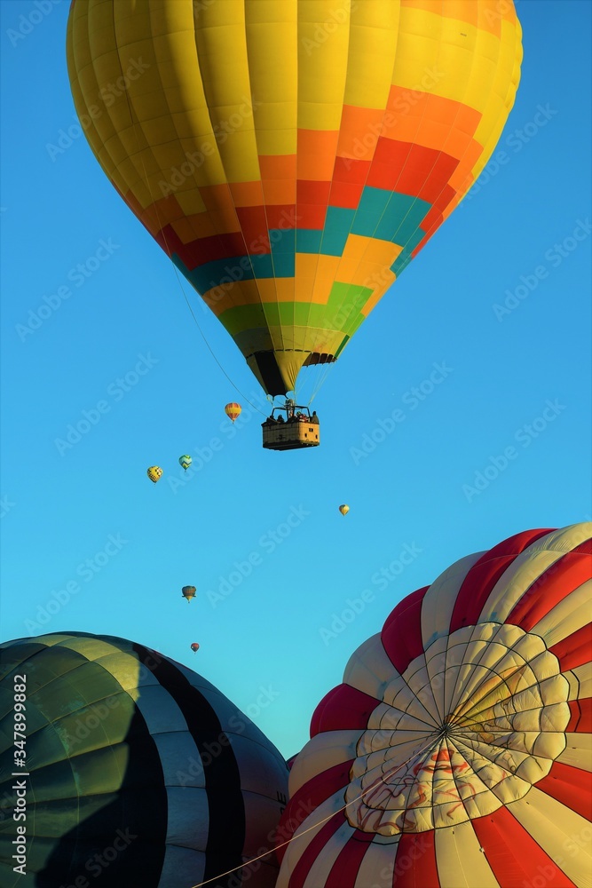 Fototapeta premium Floating Away