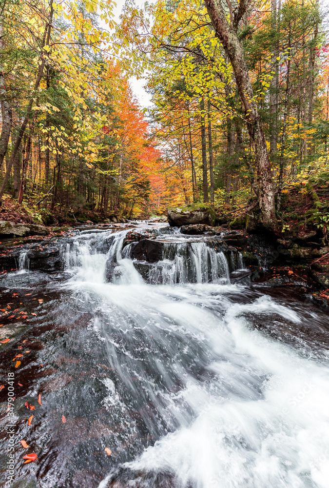 small waterfall in the forest during an autumn hike