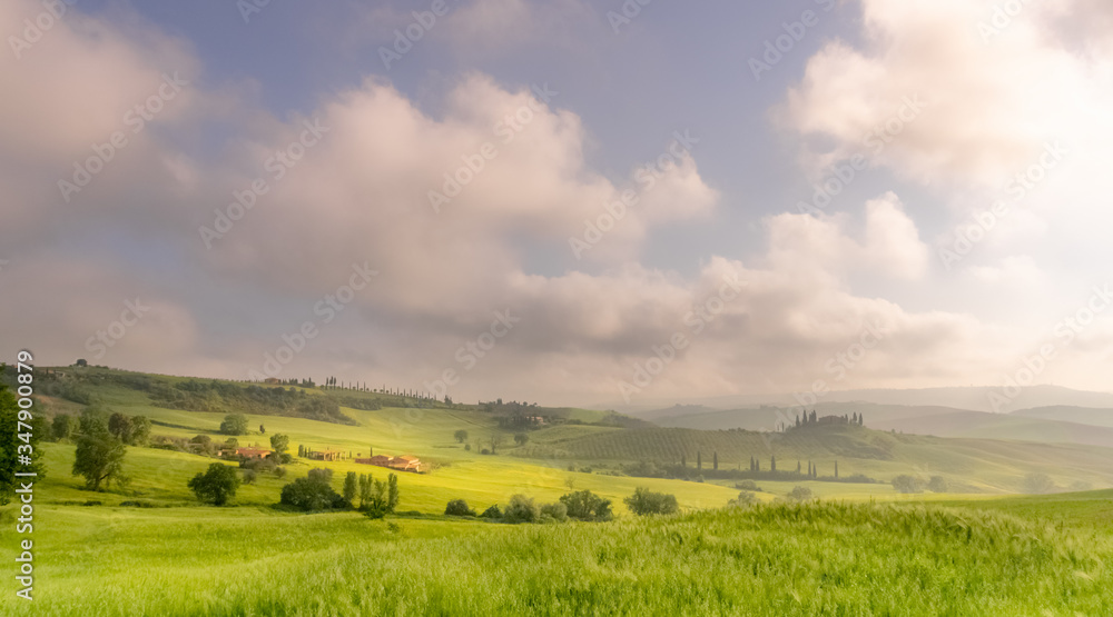 Green landscape with clouds. Early May morning in   San Quirico D'orcia,  Tuscany - Italy.