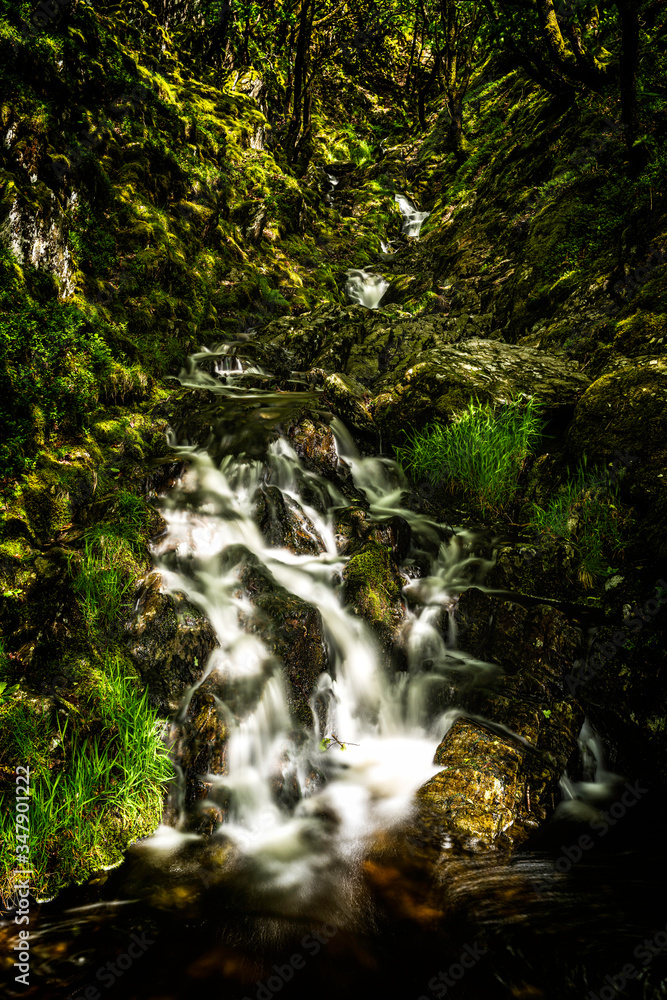 Woodland waterfall