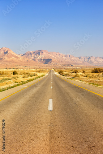 Endless road driving drive empty desert landscape portrait format loneliness infinite