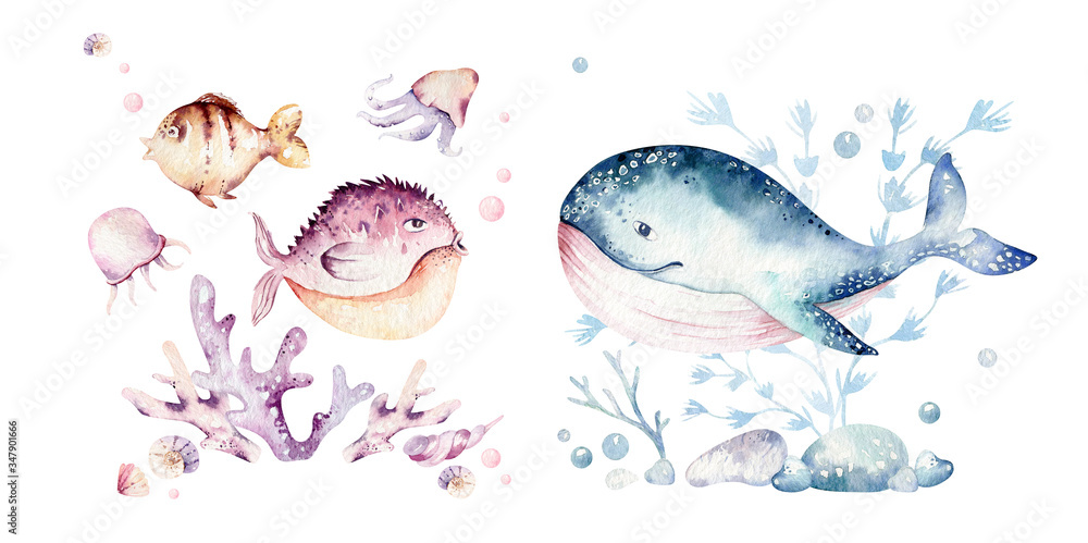 Set of sea animals. Blue watercolor ocean fish, turtle, whale and coral.  Shell aquarium background. Nautical marine hand painted illustration. Stock  Illustration | Adobe Stock