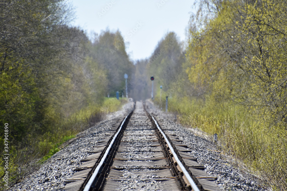 Fototapeta premium Between rails of a railroad in the forest with concrete sleepers.