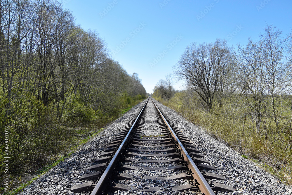 Between rails of a railroad in the forest with concrete sleepers.