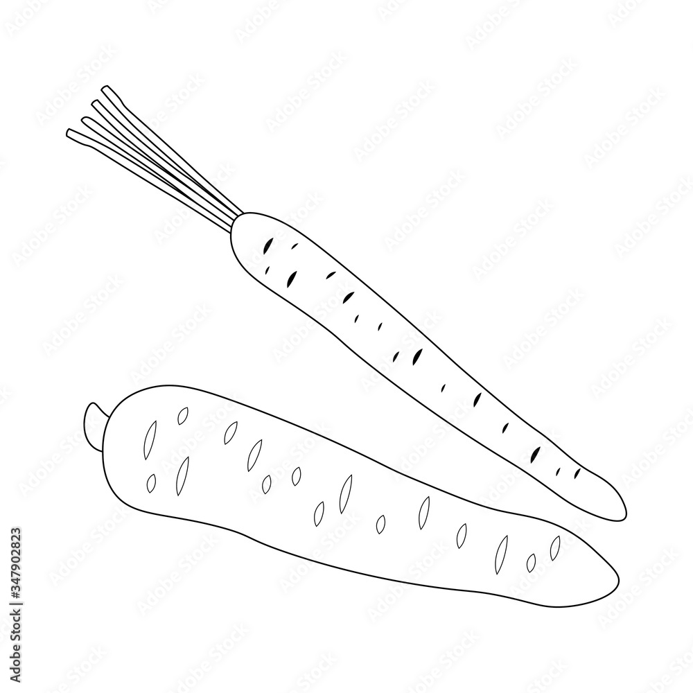 art, artwork, black, carrot, carrot isolated, carrots, carrots isolated