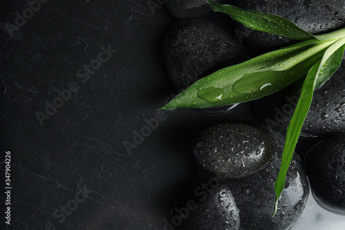 Fototapeta Naklejka Na Ścianę i Meble -  Stones and bamboo sprout in water on dark background, flat lay with space for text. Zen lifestyle