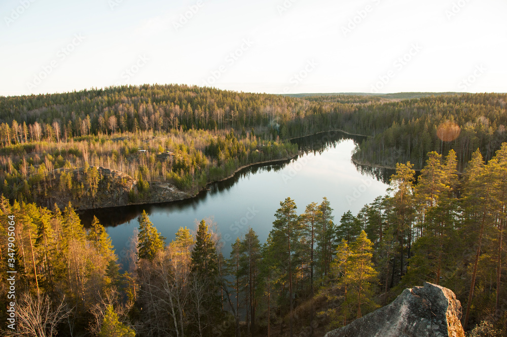 Top view of a forest lake. Pine trees reflected in the calm waters of a forest lake. Magical atmosphere of wild nature.