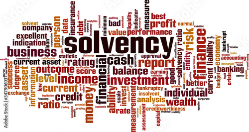 Solvency word cloud