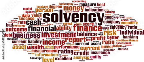 Solvency word cloud