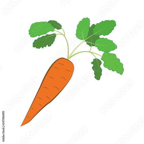 Orange carrot isolated on a white background. Icon for healthy proper nutrition.