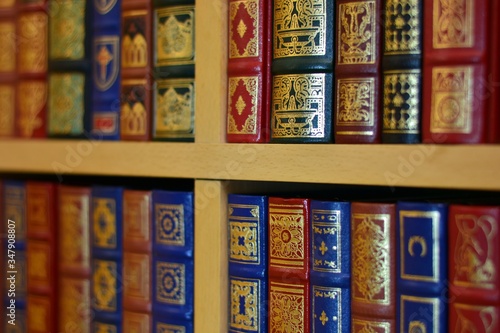 Libros cl  sicos en la estanter  a de una biblioteca