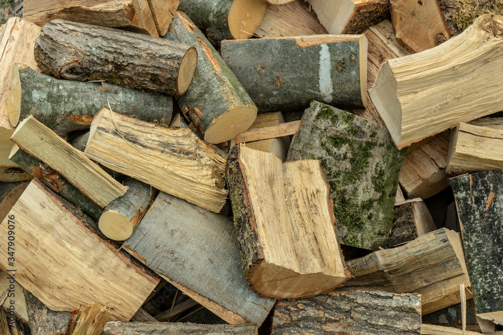 stack of firewood beech and hornbeam, northern balkans stack of firewood beech and hornbeam, northern balkans