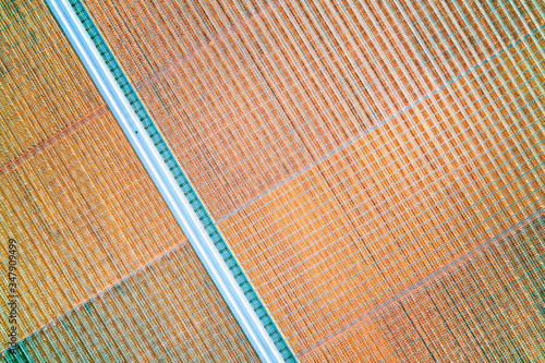 Lighted rows of greenhouses...