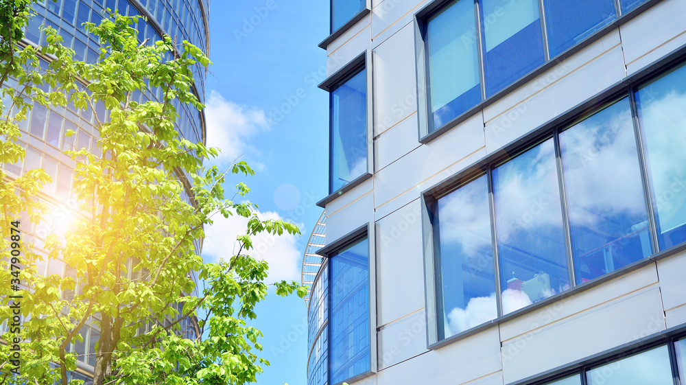 Eco building in modern city concept. Modern office building with the fresh green leaves. Eco building in modern city concept. Modern office building with the fresh green leaves.