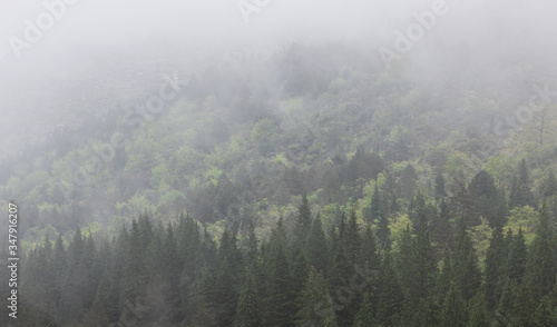 Nature landscape with amazing morning mist in Peneda-Geres National Park, Portugal