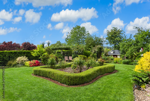 Amazing manicured backyard with large lawn, bushes, hedges, and plants on sunny day with blue sky photo