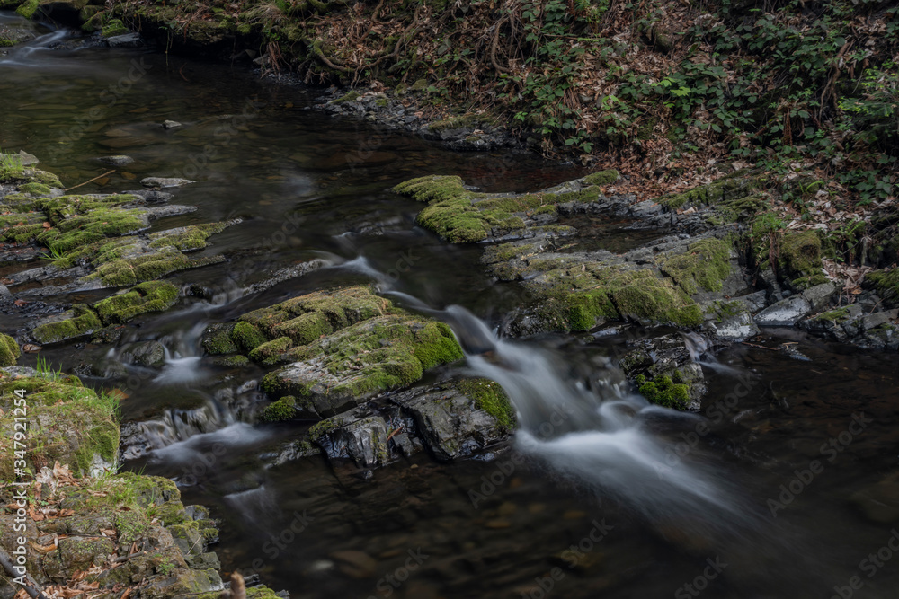 Fototapeta premium Lomna river in Trojanovice village in spring hot day