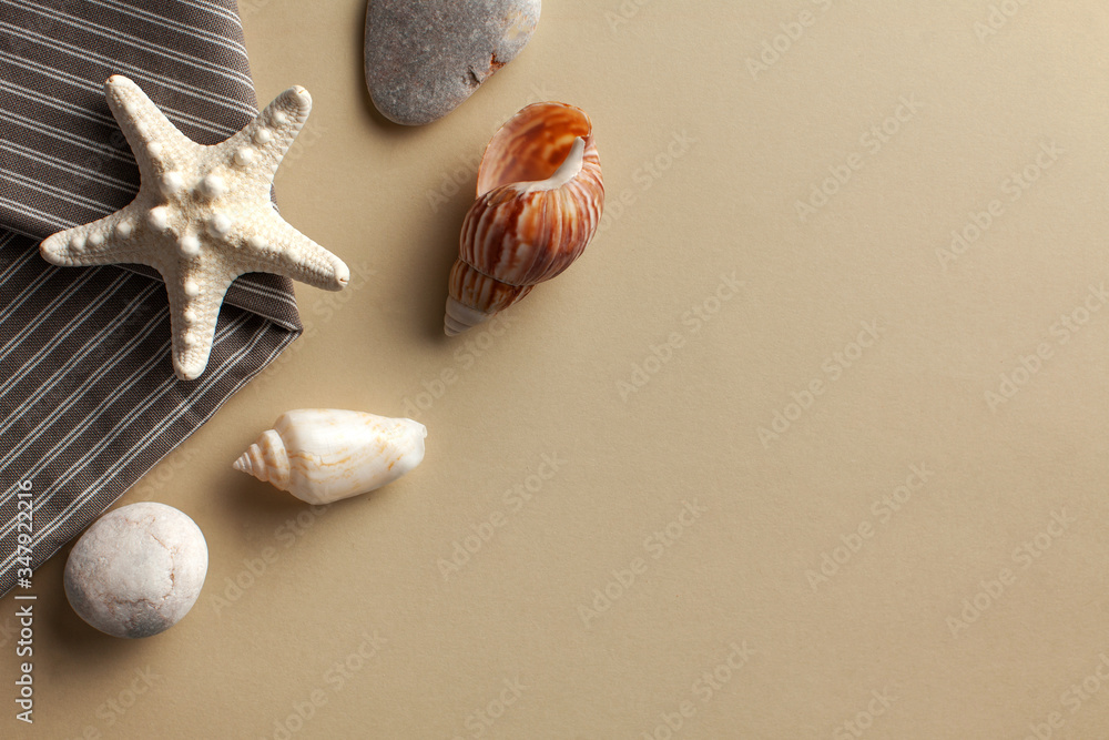 Flatlay with starfish and shells on a color background. The concept of travel, vacation by the sea. Copy space Flatlay with starfish and shells on a color background. The concept of travel, vacation by the sea. Copy space