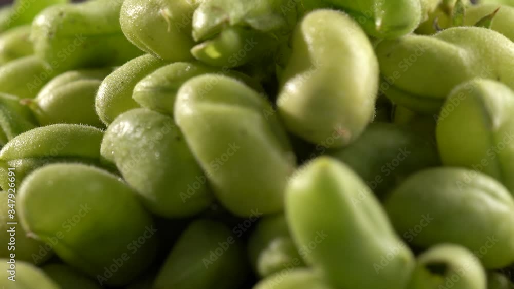 Extreme closeup of a mound of uncooked, still in their husk raw, chickpeas rotating against a blue background. Extreme closeup of a mound of uncooked, still in their husk raw, chickpeas rotating against a blue background.