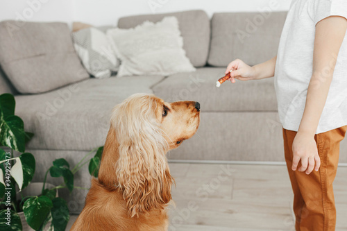 Cute little girl with dog at home