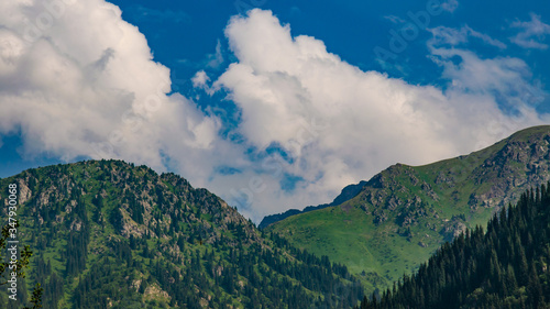 beautiful landscape of a racing area with spruce forests on the slopes and clouds