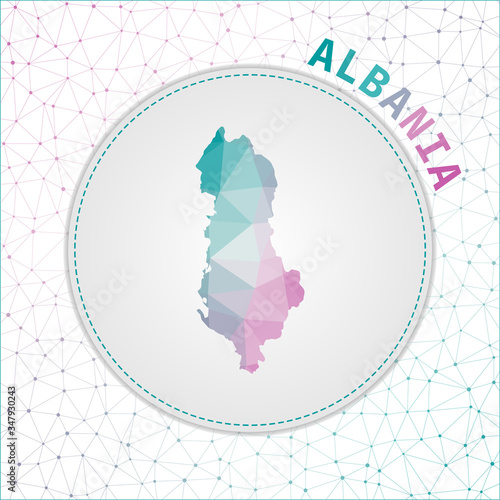 Vector polygonal Albania map. Map of the country with network mesh background. Albania illustration in technology  internet  network  telecommunication concept style . Captivating vector illustration.