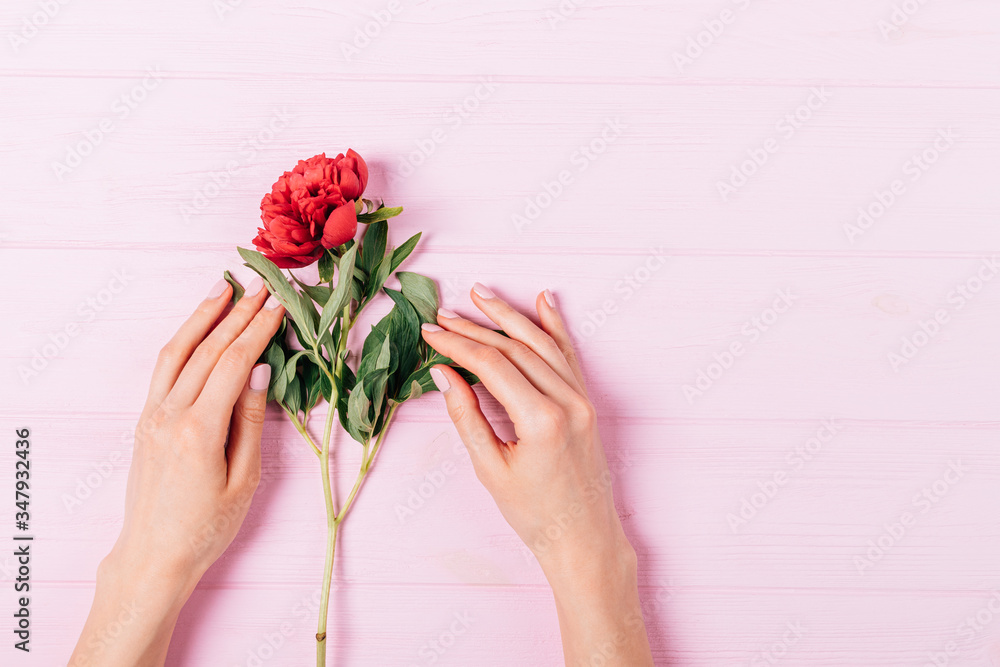 Young woman's hands holding fresh peony flower