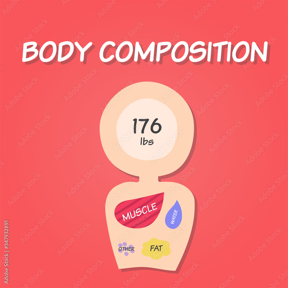 Weighing scales in the imperial/British system with body composition (muscle, fat, water, and others) inside it. Concept of fat loss, diet. Weighing scales in the imperial/British system with body composition (muscle, fat, water, and others) inside it. Concept of fat loss, diet.