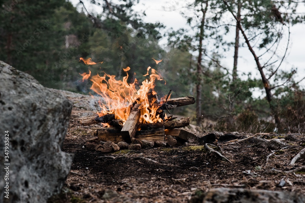 wild campfire in a national park in Sweden wild campfire in a national park in Sweden