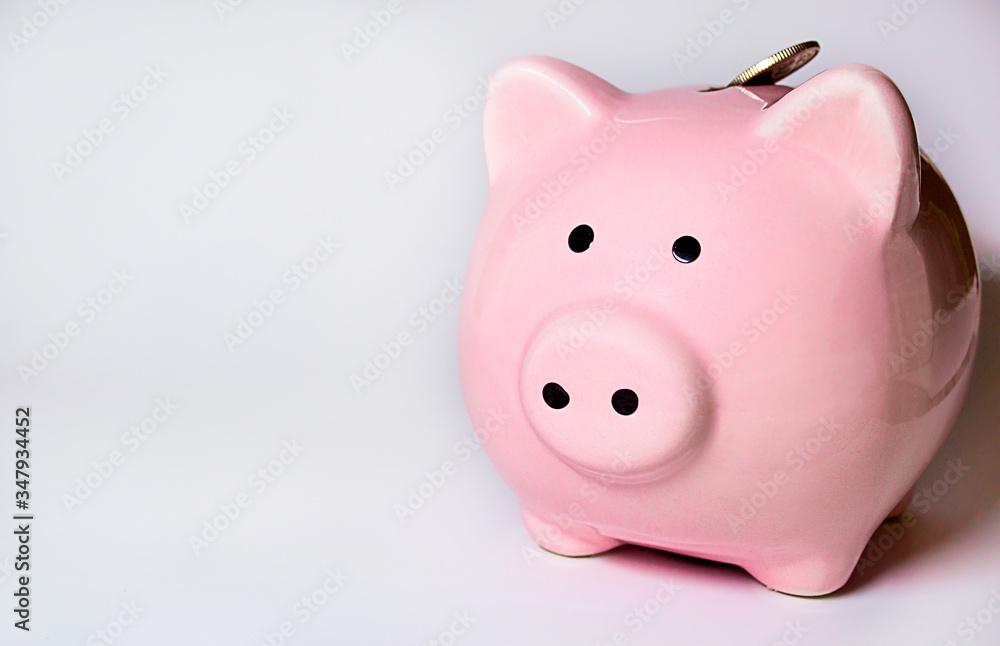 pink piggy pig and coin on a white background with copyspace