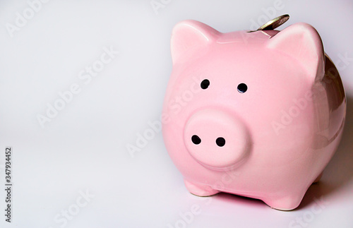 pink piggy pig and coin on a white background with copyspace