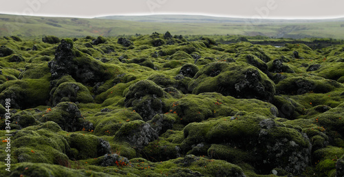 moss covered rocks on the Laka lava field in south Iceland photo