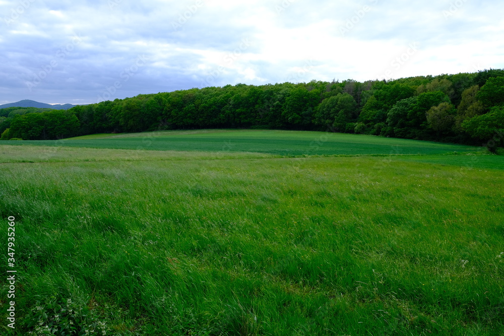 Obraz premium Landschaft