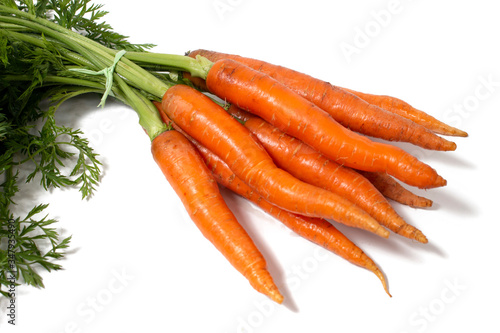 fresh organic carrots