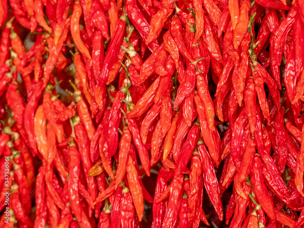 red hot chili peppers red hot chili peppers