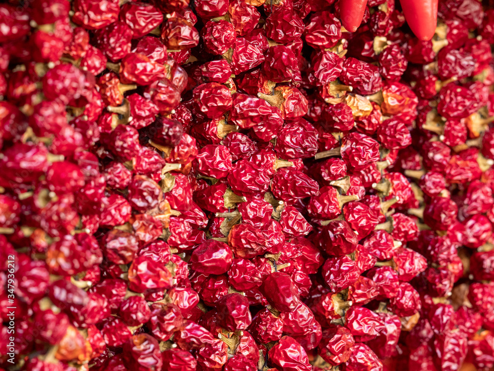 background of red tomatoes background of red tomatoes
