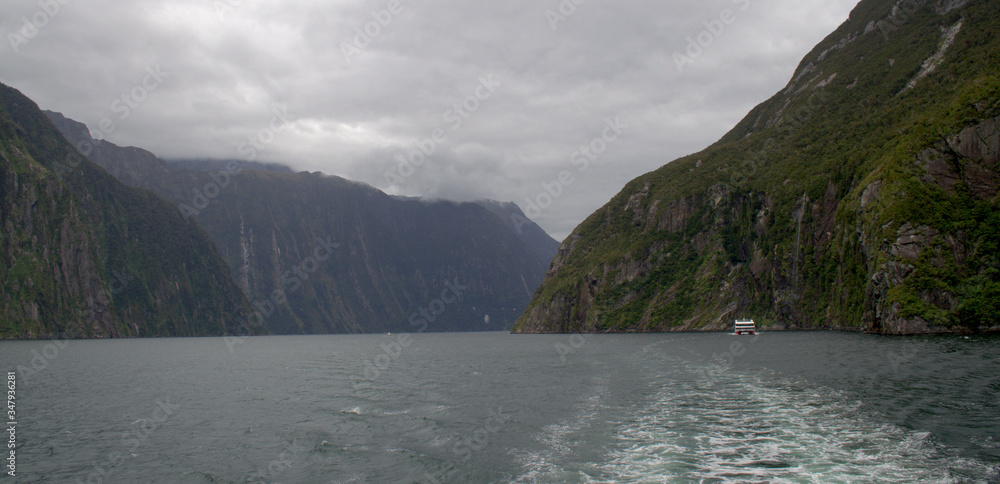 Fototapeta Milford Sound, Fiorland, South Island, New Zealand