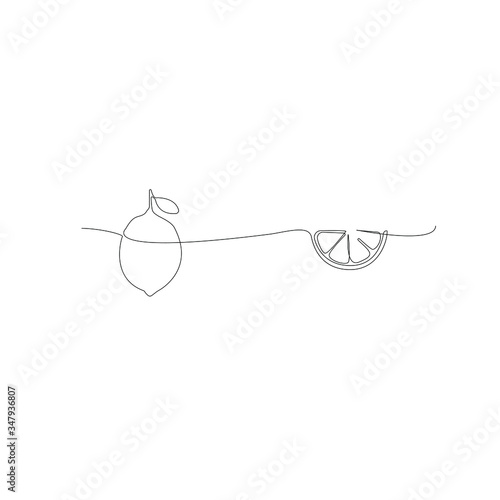 Continuous line drawing of lemon. Template for your design. Vector illustration.